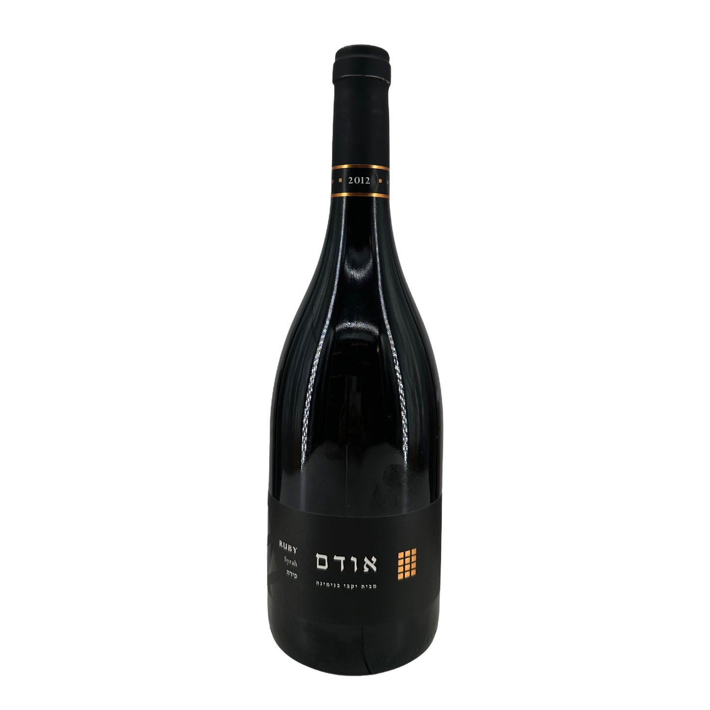 2012 Binyamina The Chosen Ruby Syrah 750ml